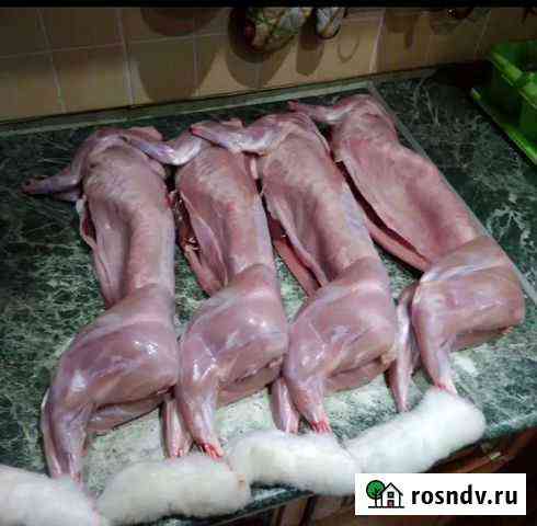 Мясо кролика, индюшка, утка, броллер Дмитров