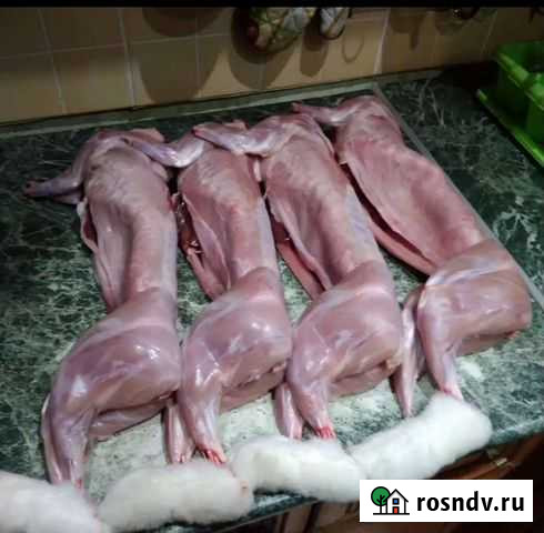 Мясо кролика, индюшка, утка, броллер Дмитров - изображение 1
