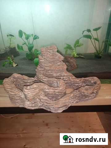 Грот для аквариума Вологда - изображение 1