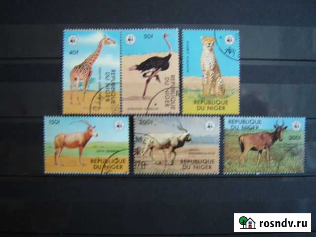 Фауна Барнаул - изображение 1