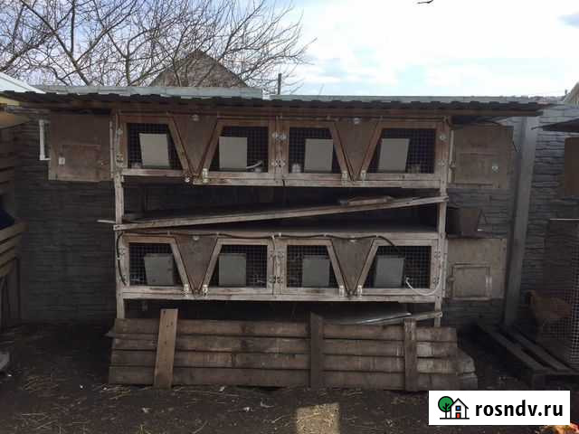Клетка для кроликов Белгород - изображение 1