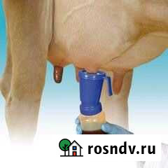 Обработка перед и после доения коров Новая Усмань - изображение 1