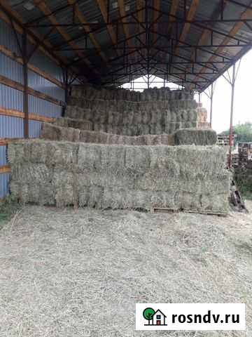 Сено С доставкой Лиски - изображение 1