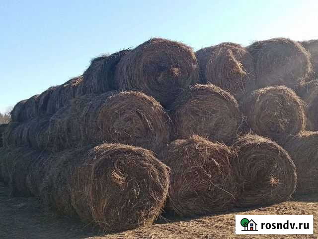 Продам сено в рулонах Благовещенск - изображение 1