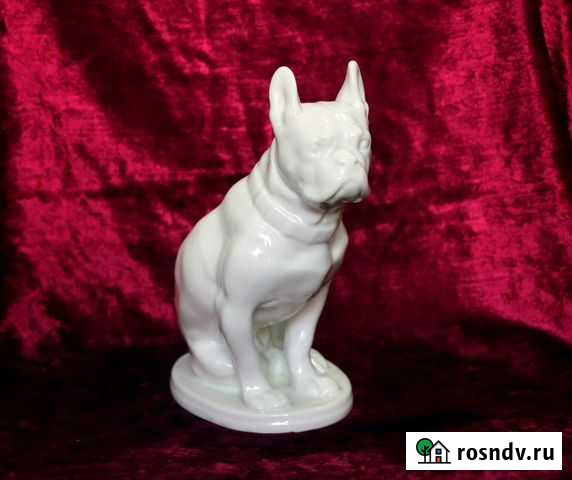 Фарфор. Собака боксёр. лфз. СССР Златоуст - изображение 1