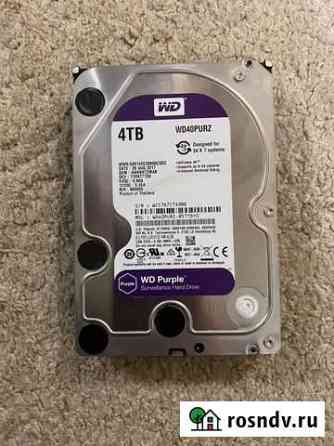 Wd purple 4 tb Тверь