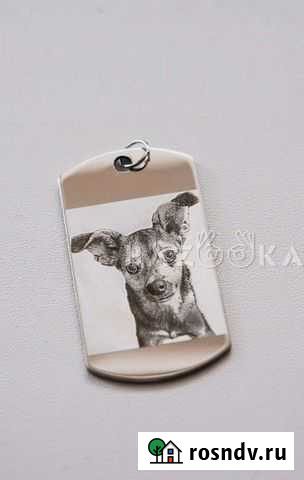 Бирка жетон с фото кошки, собаки Курск - изображение 1