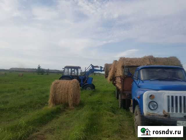 Сено Кинель - изображение 1