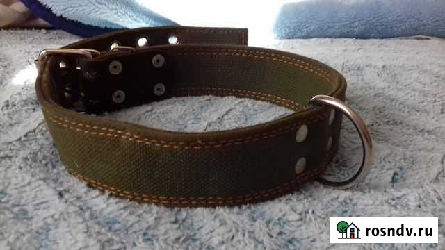 Ошейник Магадан - изображение 1
