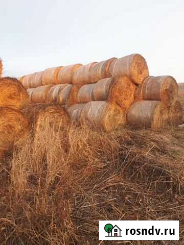 Продам сено в рулонах Налобиха - изображение 1