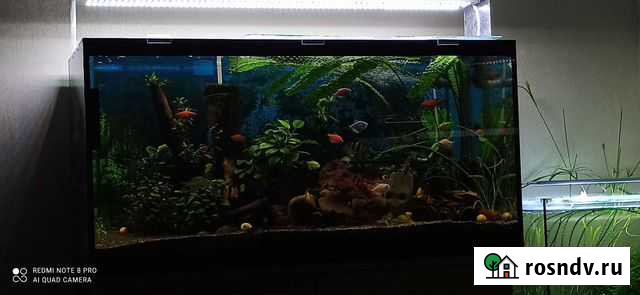 Аквариум Калуга - изображение 1