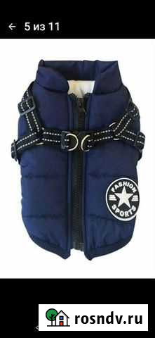 Одежда для маленьких собак Мурино - изображение 1