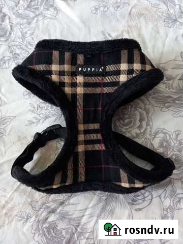 Шлейка на крупную собаку Рязань - изображение 1