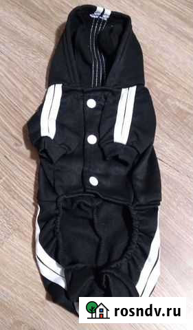 Костюм для собаки Комсомолец - изображение 1