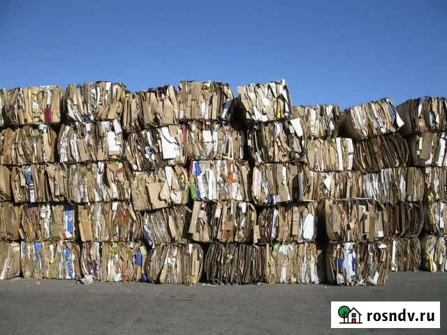 Макулатура Рязань - изображение 1