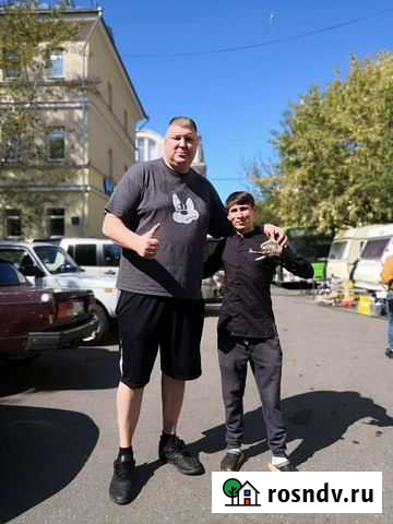 Шеф повар Москва - изображение 1