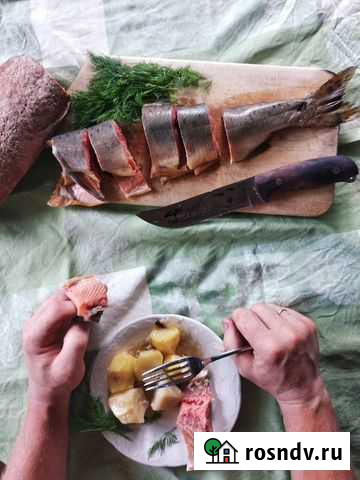 Рыба, мясо, сало холодного копчения Пермь - изображение 1