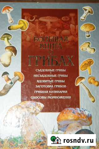 Книга о грибах Псков - изображение 1