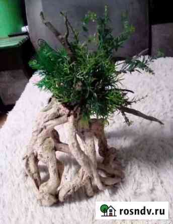 Коряга для аквариума Ейск