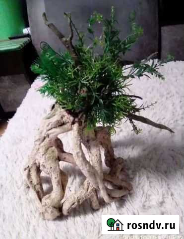 Коряга для аквариума Ейск - изображение 1