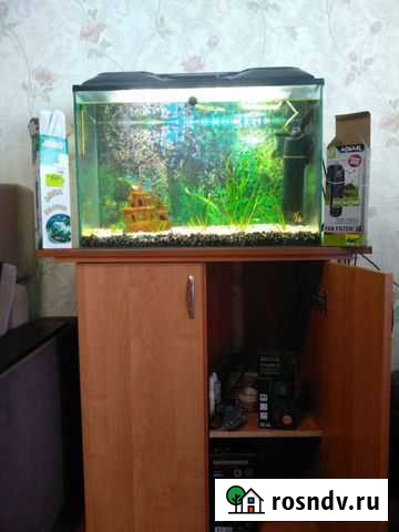 Аквариум Сызрань - изображение 1