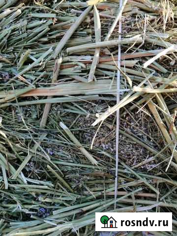 Сено эспарцет - корм для крс, баранов и коз Бутурлиновка - изображение 1