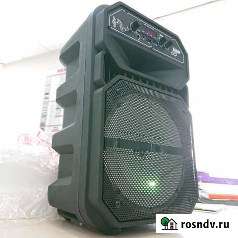 Мощная беспроводная концертная активная колонка Новосибирск - изображение 1