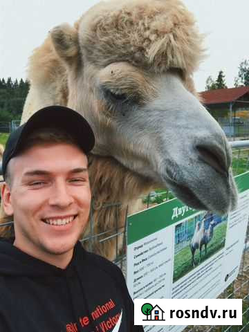 Разработка сайта, продвижение Яндекс Директ Таргет Самара - изображение 1