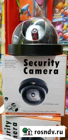 Камера муляж Киров - изображение 1