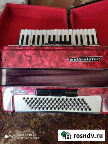 Аккордеон Петропавловск-Камчатский - изображение 1