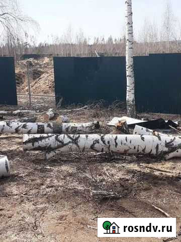 Спиливание деревьев Воронеж - изображение 1