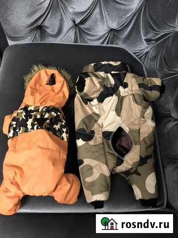 Костюм для собак Сергиев Посад - изображение 1