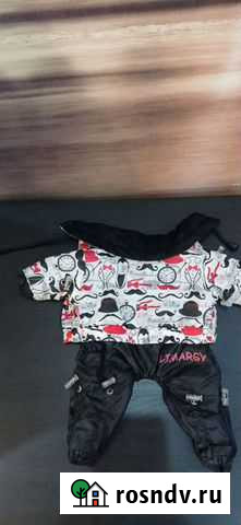 Одежда для маленькой собачки Владимир - изображение 1