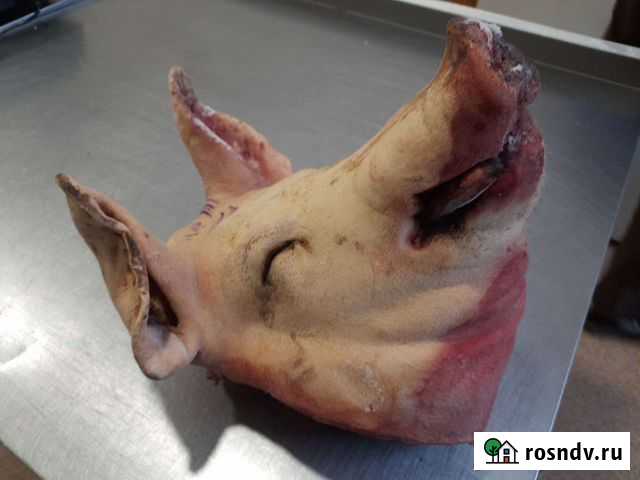 Головы свинные Белогорск - изображение 1