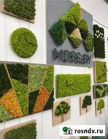 Рамы для картин и панно из мха Нижний Новгород - изображение 1