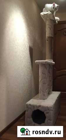 Когтеточка. Домик для кошек Иваново - изображение 1