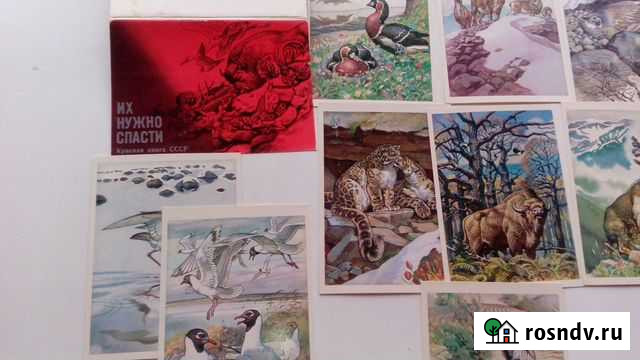 Открытки Их нужно спасти Череповец - изображение 1