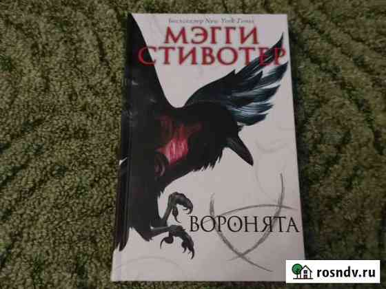 Воронята Стивотер Магадан