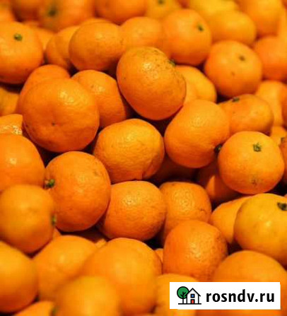 Мандарины опт Новороссийск - изображение 1