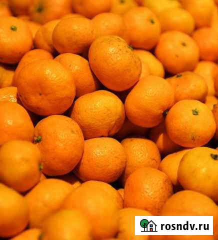 Мандарины опт Новороссийск - изображение 1
