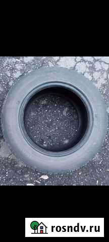 Шина Бийск - изображение 1