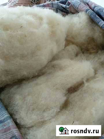 Прочесываю шерсть Каспийск - изображение 1