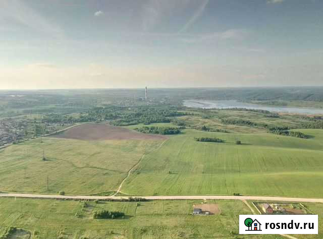 Спил деревьев любой сложности окуратно и быстро Дорогобуж - изображение 1