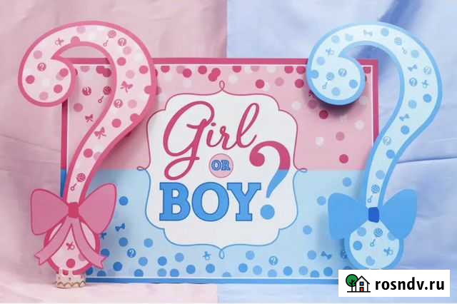 Фотозона в аренду Санкт-Петербург - изображение 1