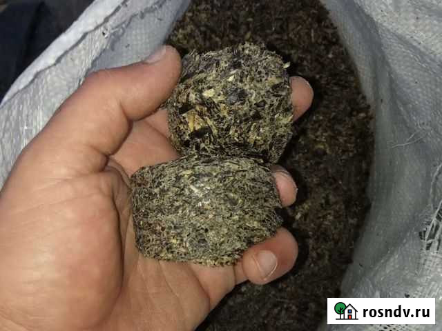 Жмых подсолнечника Усть-Джегута - изображение 1