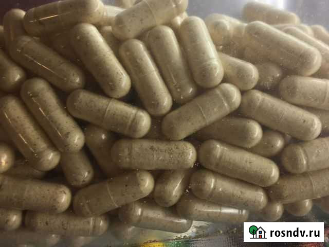 Ежовик гребенчатый (капсулы 100шт) Казань - изображение 1