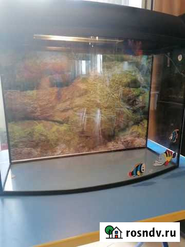 Аквариум 30 л с оборудованием Калининград - изображение 1