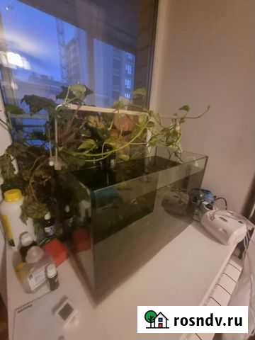 Аквариум 60л Екатеринбург - изображение 1