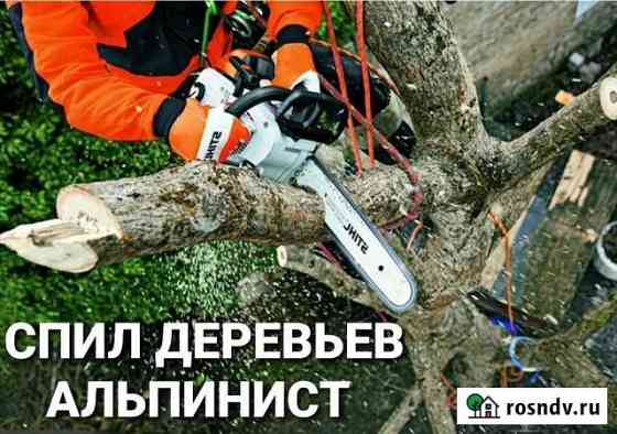 Спил деревьев, альпинист Дзержинск