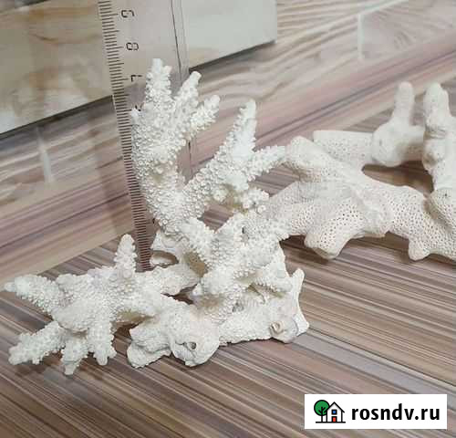 Набор кораллов и ракушек для аквариума Омск - изображение 1